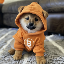 Dog (Bitcoin) (DOG) logo