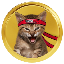 GameStop (gamestop-coin.vip) (GME) logo