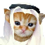 Habibi (HABIBI) logo